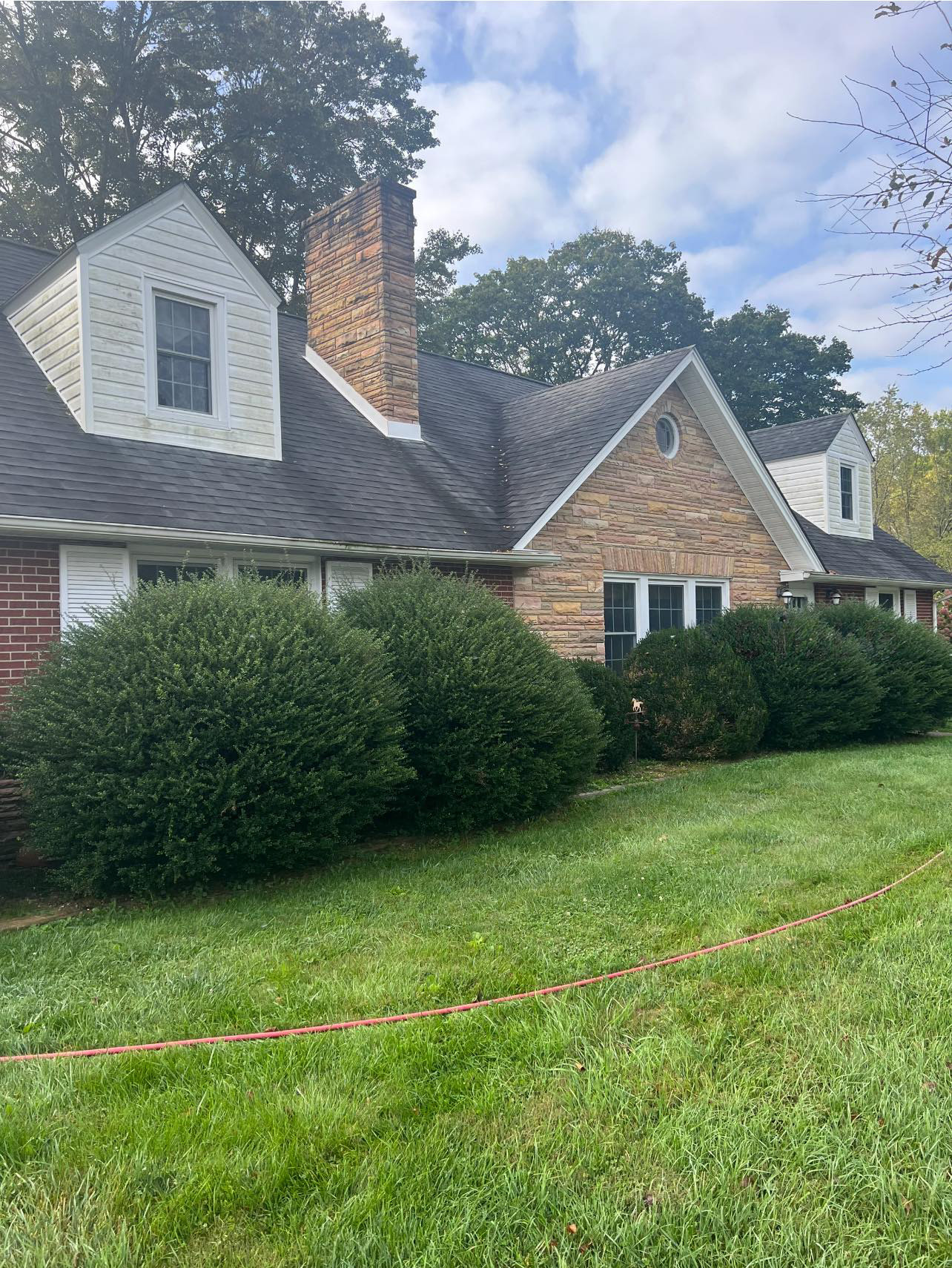 Home roof showing black streaks from mildew.